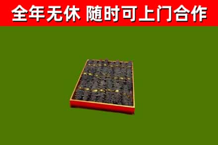 七台河市回收海参